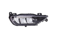 luz antiniebla 7677088 Diederichs