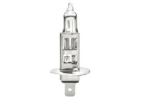 Hella Standard H1, 12V55W