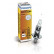 Philips Vision H1, Miniatura 3