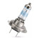 Philips X-treme Vision Pro150 H7, Miniatura 3