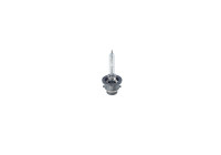 Lámpara de xenón Bosch D2S
