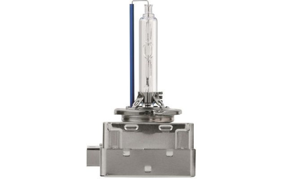 Xenón Whitevision D1S, Imagen 2