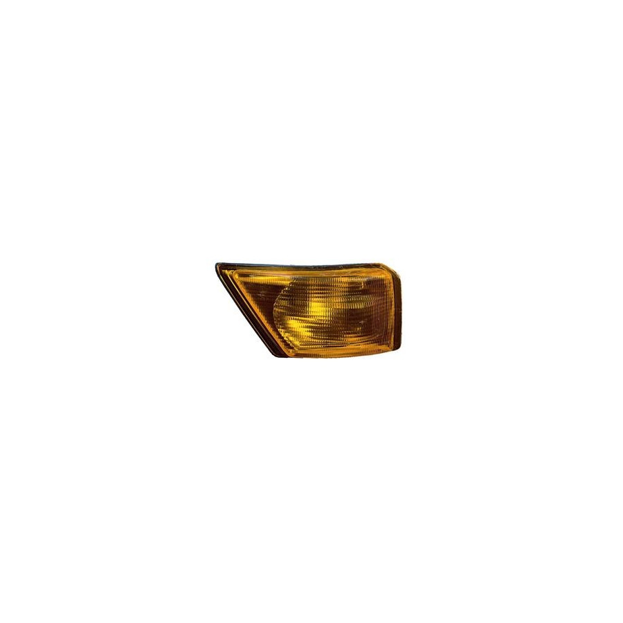 Clignotant droit orange avec support de lampe 2813902 Origineel