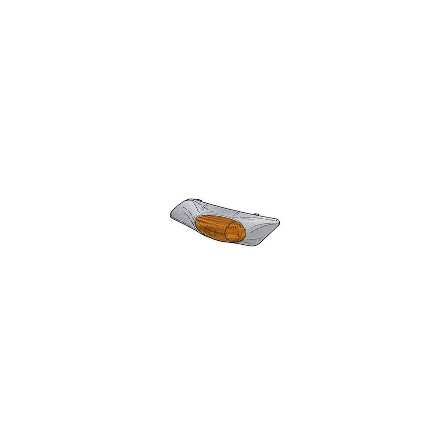 Magneti Marelli Feu Clignotant Lli842 Lli842 Iveco