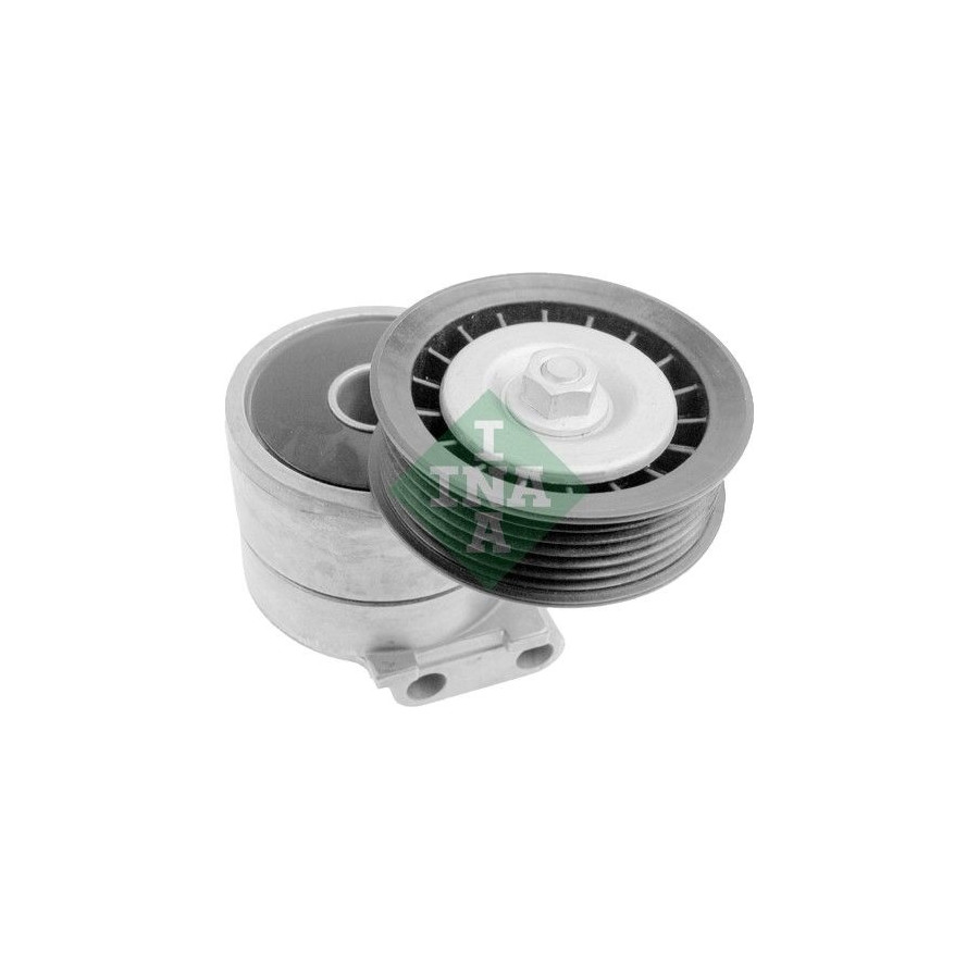 INA Tendeur courroie trap&eacute;zo&iuml;dale &agrave; nervures 534013430  