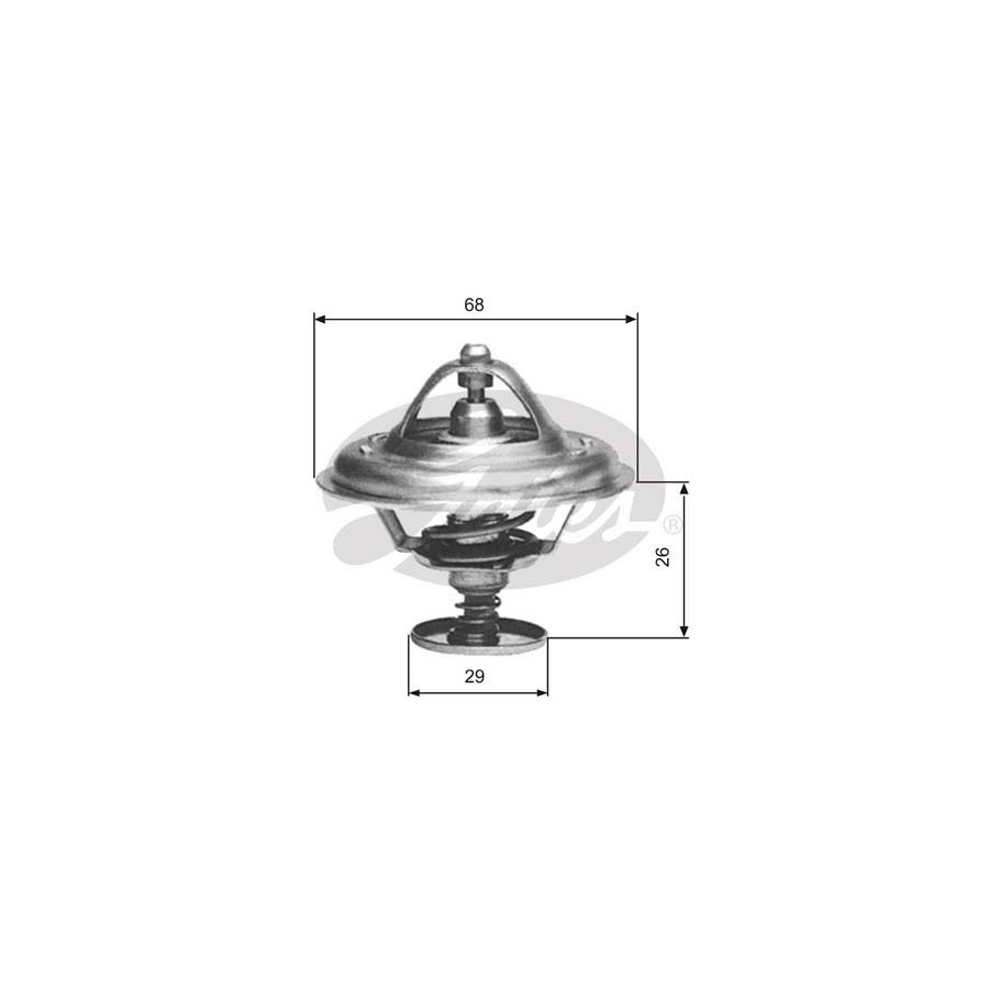 GATES  Thermostat d'eau TH08983G1