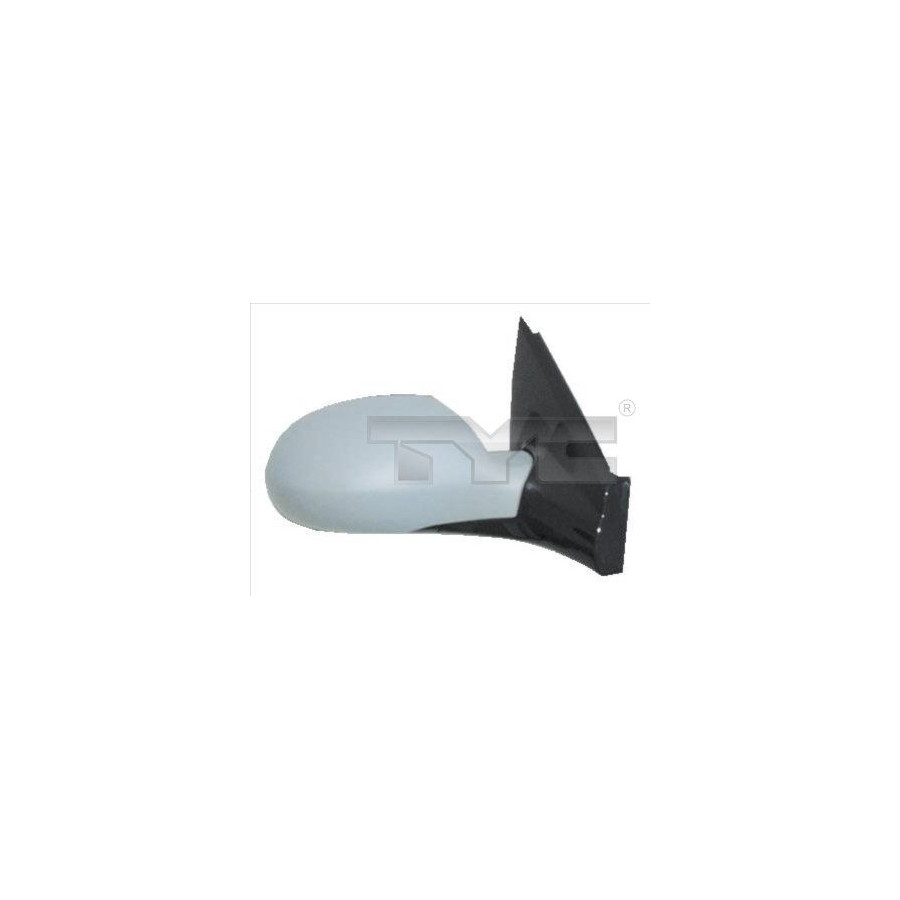 Tyc Bleu Rétroviseur Extérieur 305-0019 3050019 Citroen