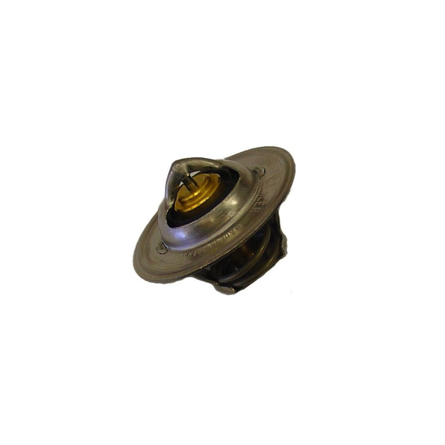 Thermostat d'eau