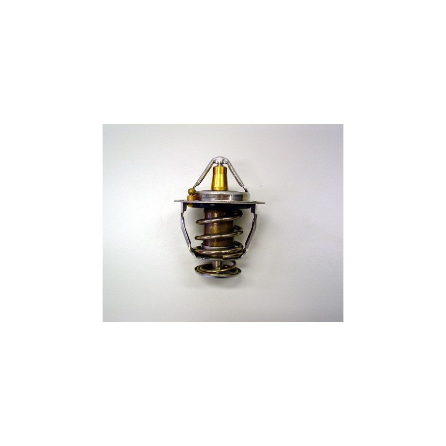 Thermostat d'eau