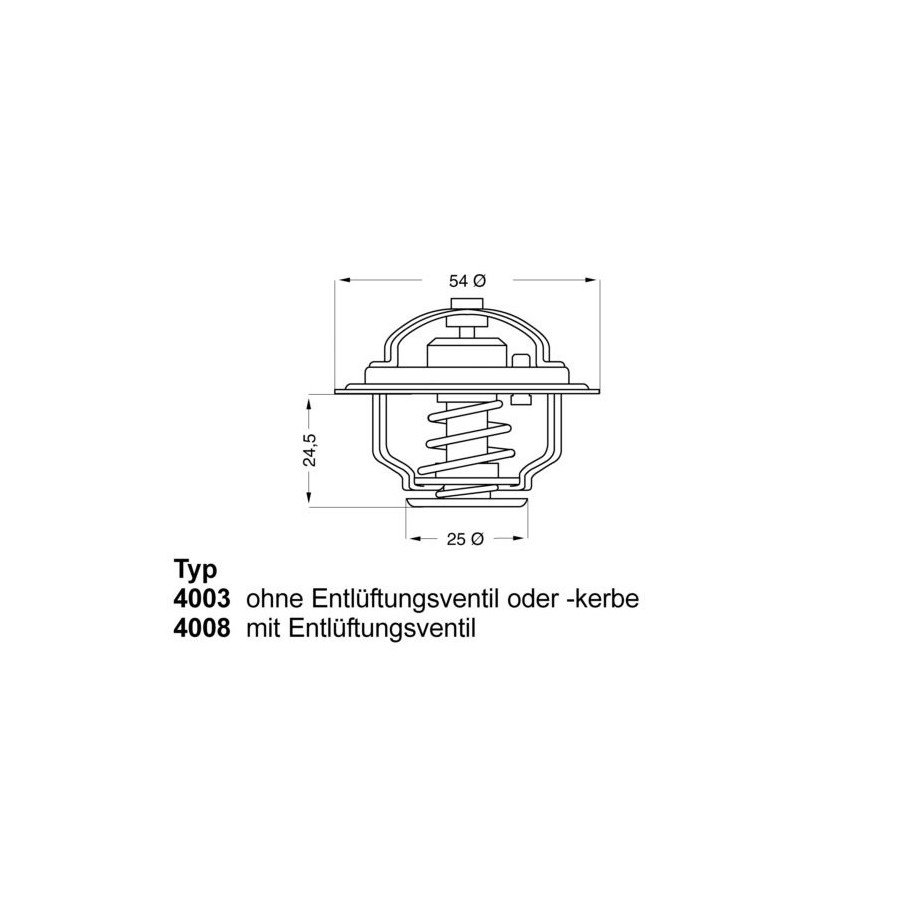 Thermostat d'eau