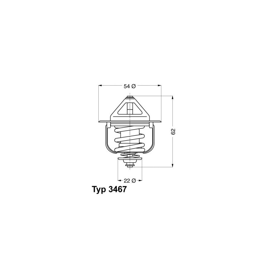 Thermostat d'eau