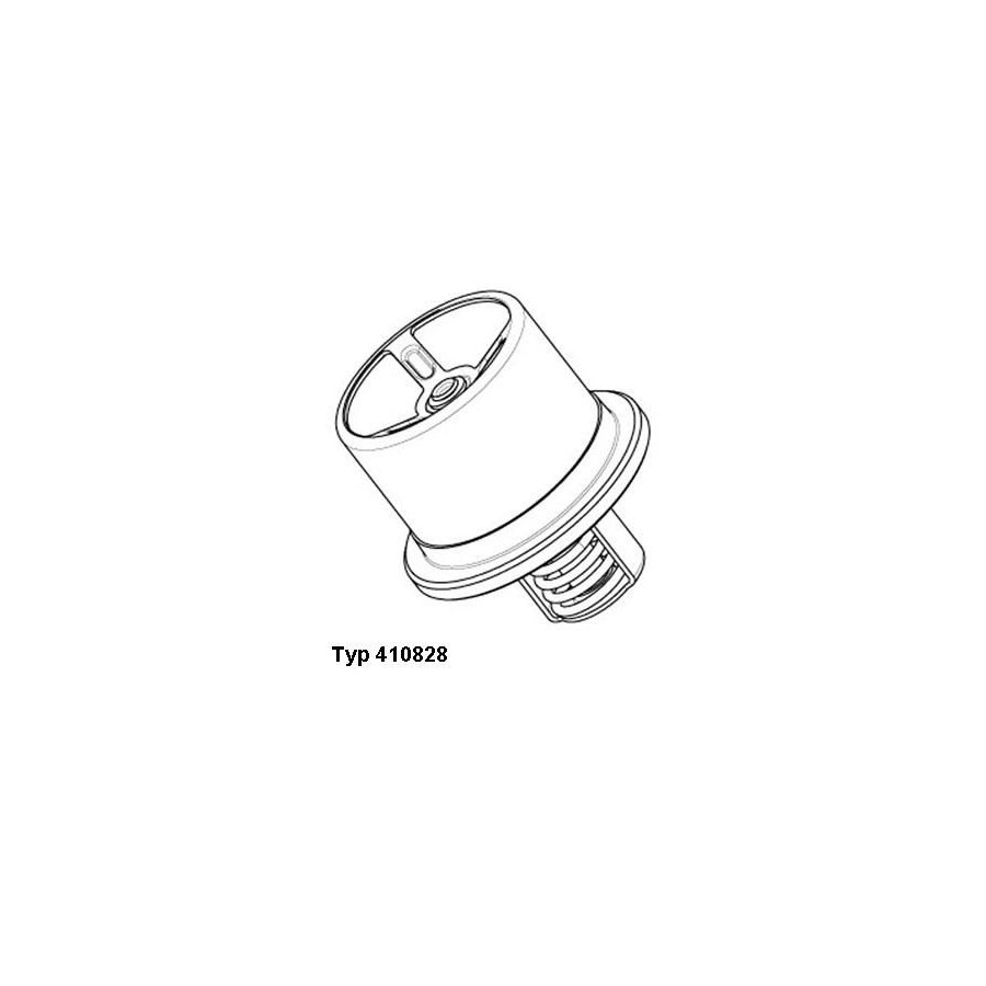 Thermostat d'eau