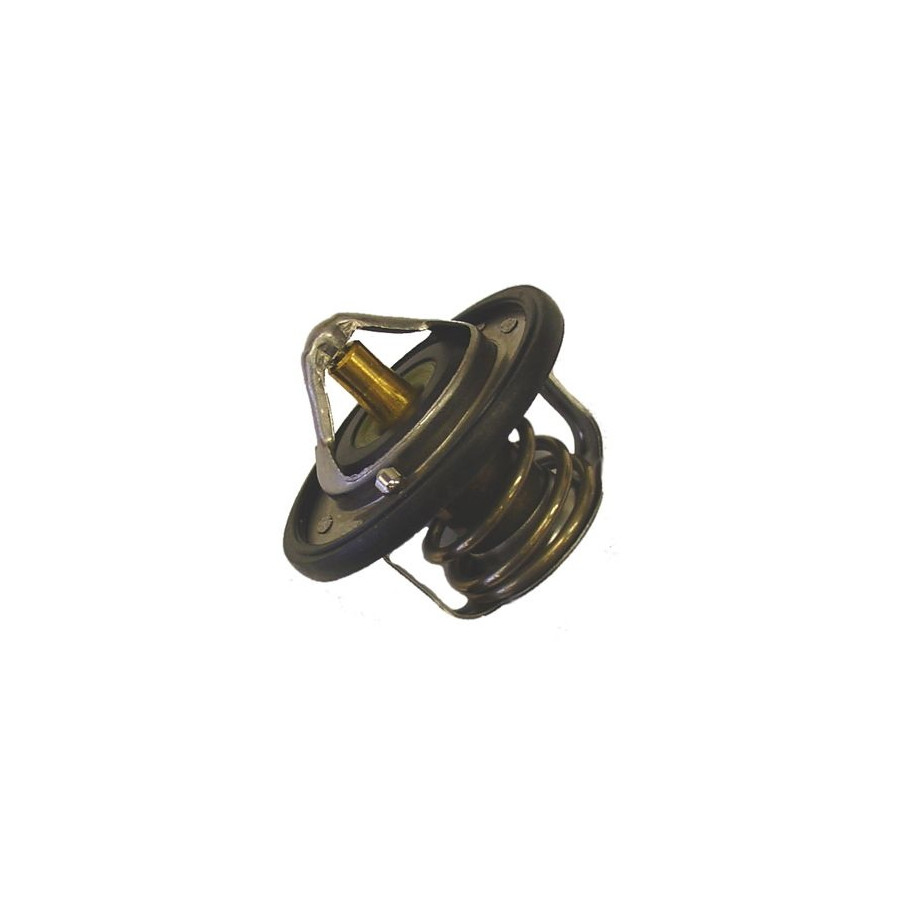 Thermostat d'eau