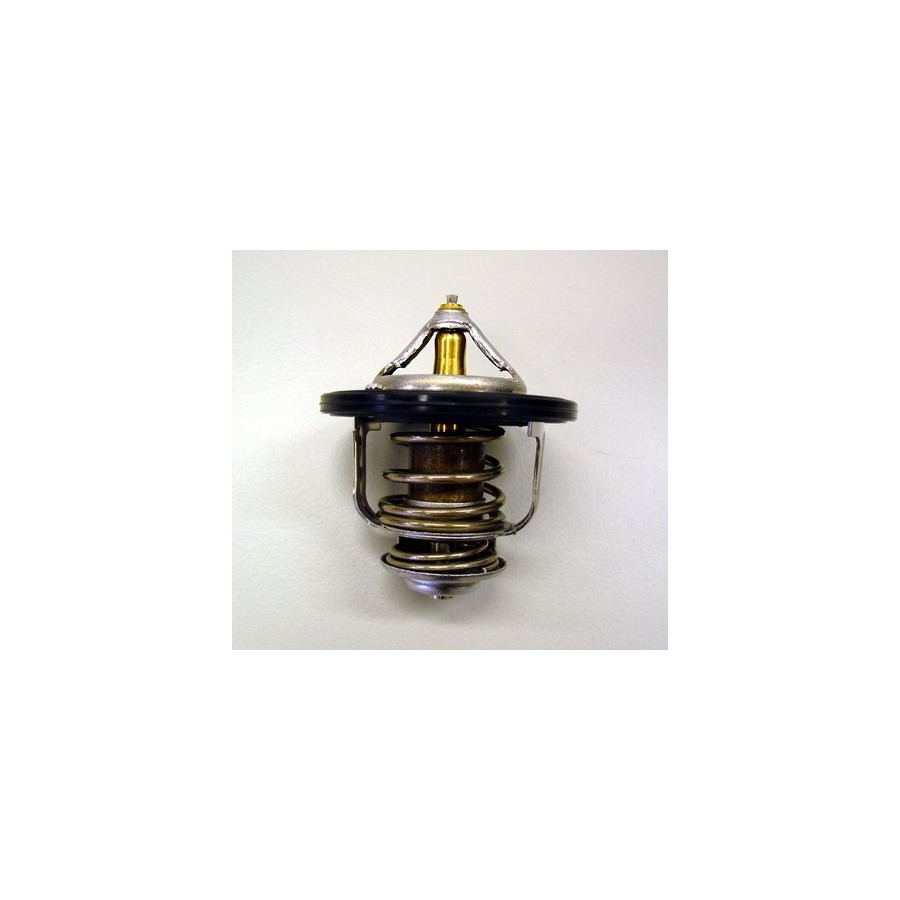 Thermostat d'eau