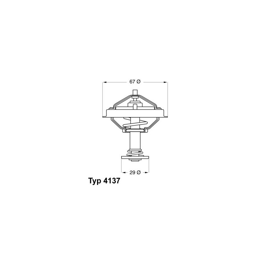 Thermostat d'eau