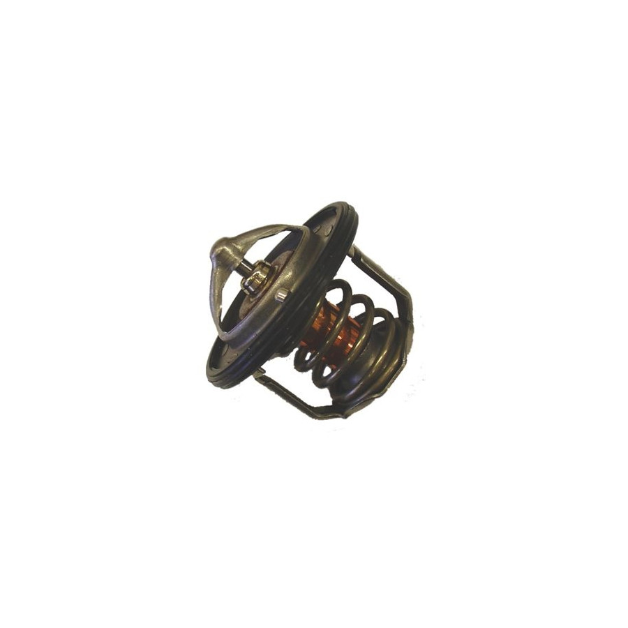 Thermostat d'eau