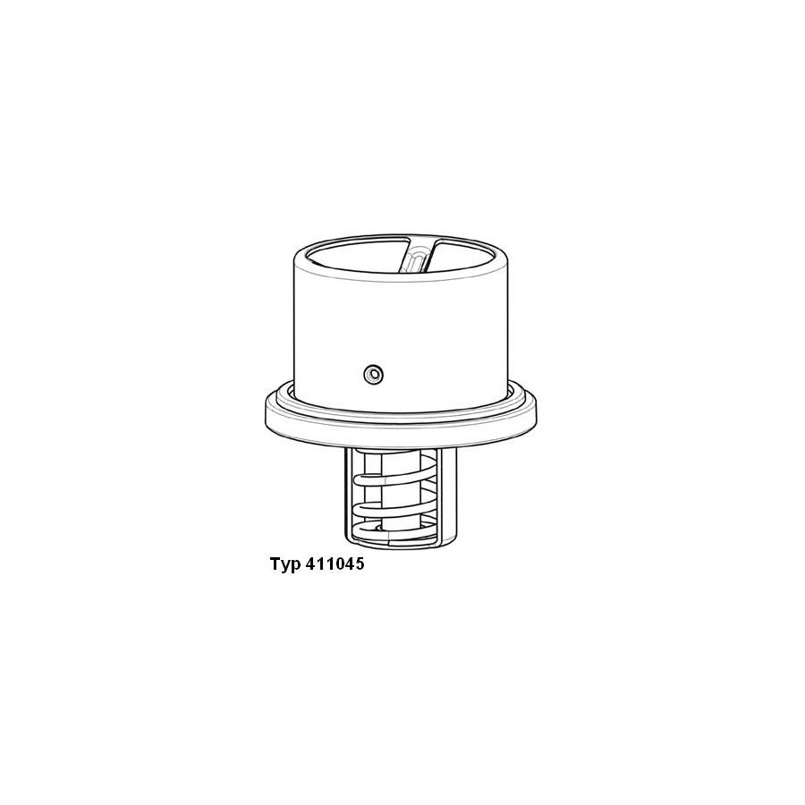 Thermostat d'eau