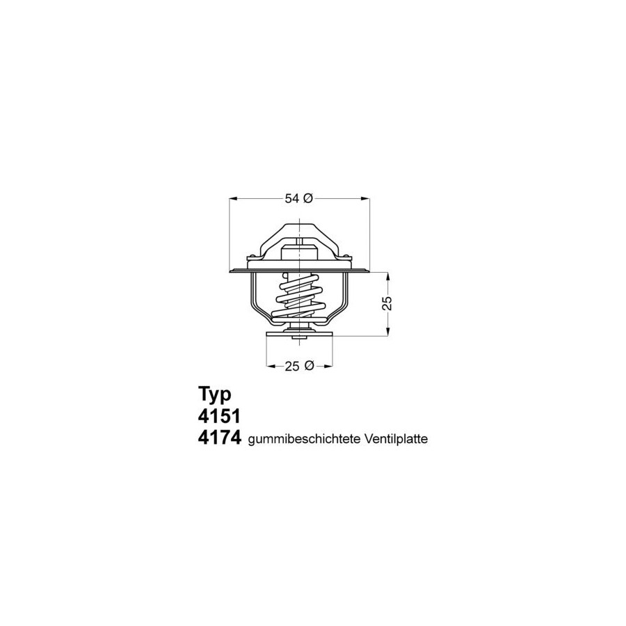 Thermostat d'eau