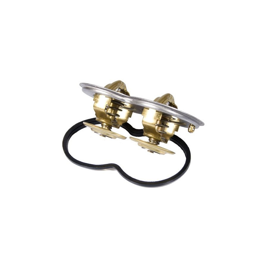 Thermostat d'eau