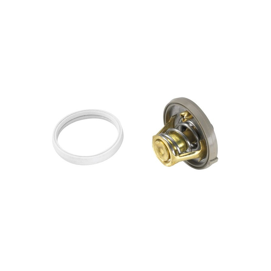 Thermostat d'eau