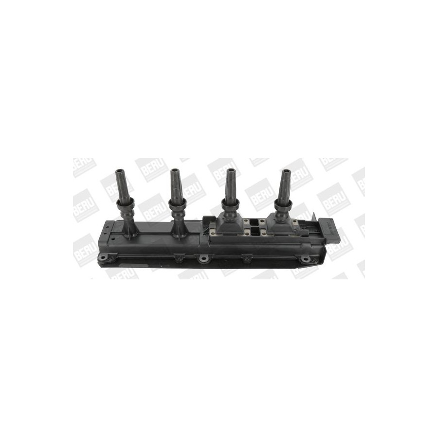 BORGWARNER BERU Bobine d'allumage BorgWarner (BERU) ZS349 (X1)