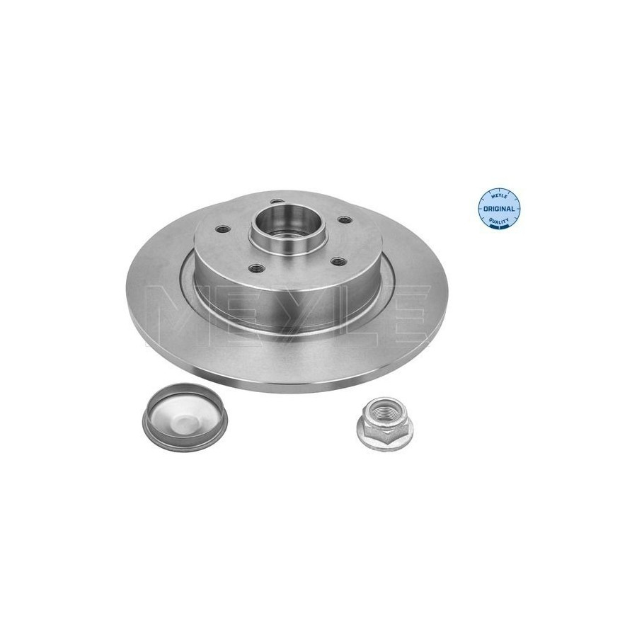 Disque De Frein MEYLE 16-15 523 4111 Pour Renault - Image 4