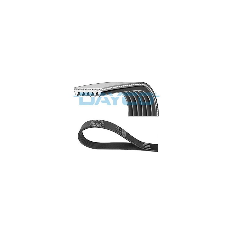 Dayco Multi-Couronnes 6Pk1029ee Ford