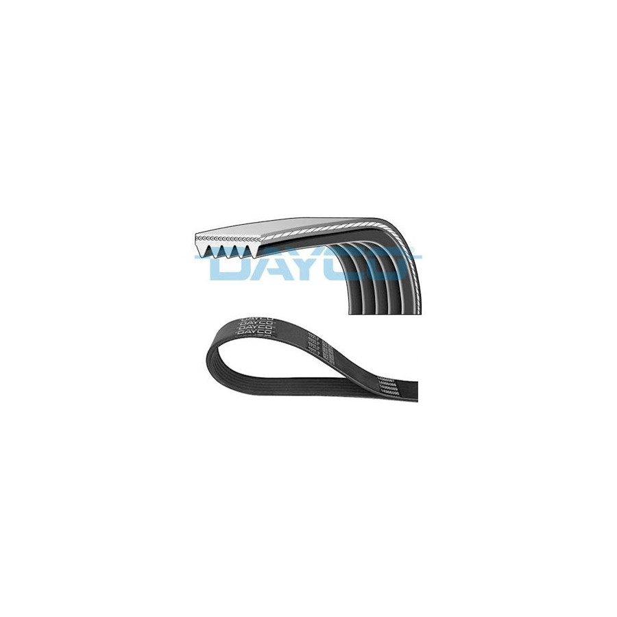 Dayco Multi-Couronnes 5Pk1010 Rover