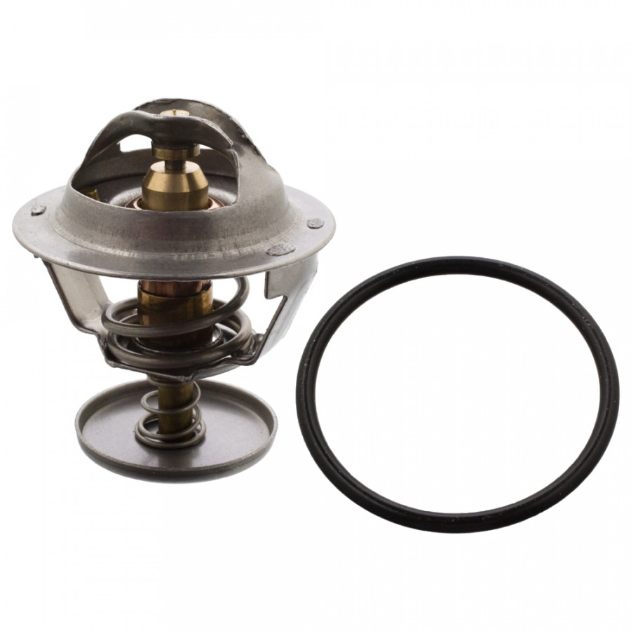 Thermostat d'eau 106022 FEBI