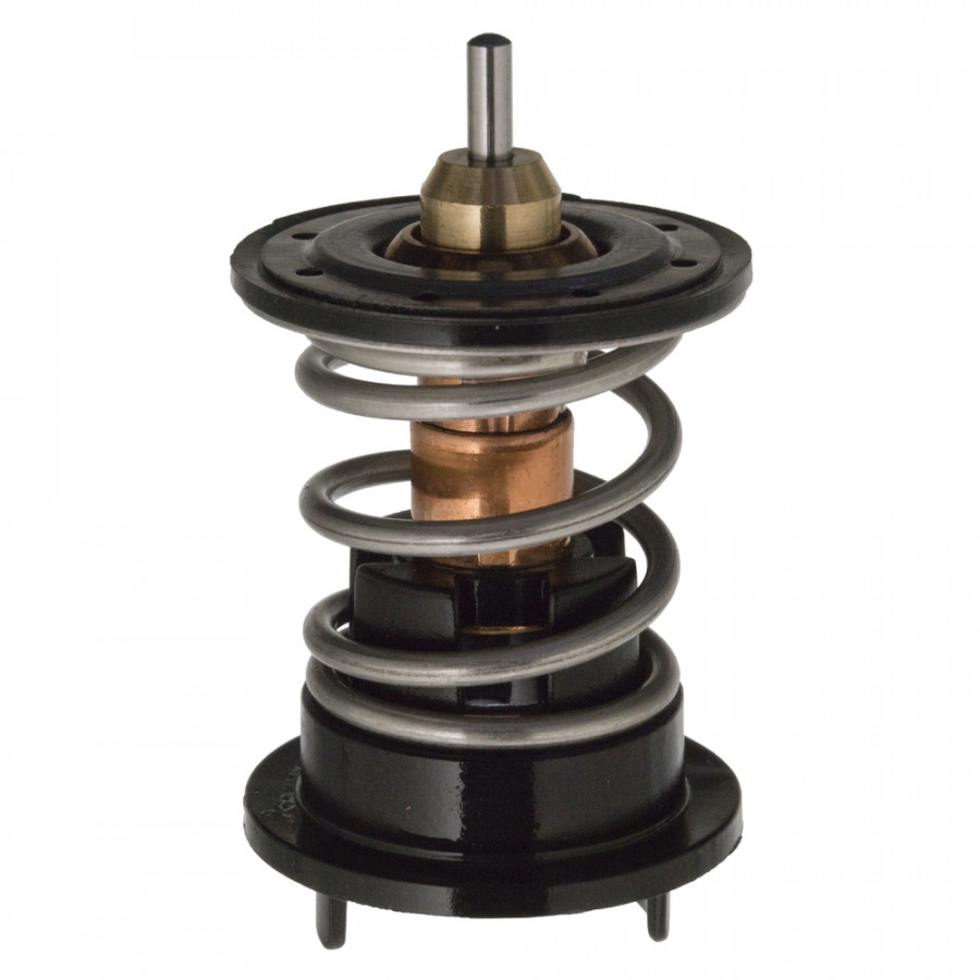 Thermostat d'eau 106284 FEBI