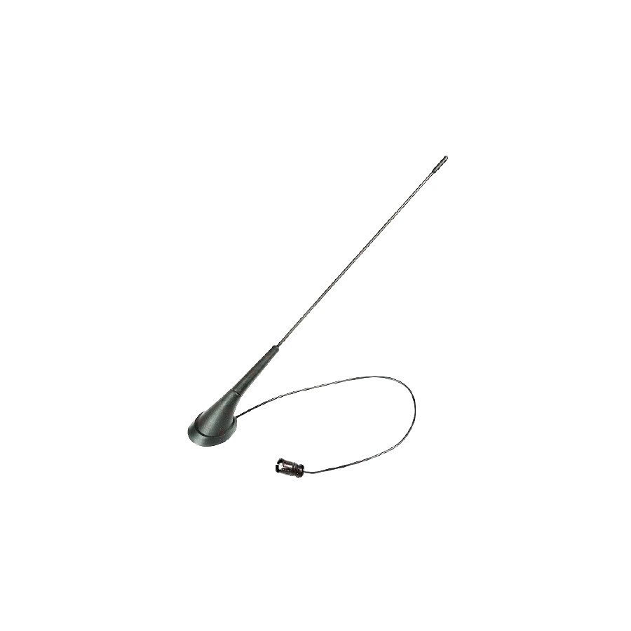 Antenne de toit active 28 ° Raku