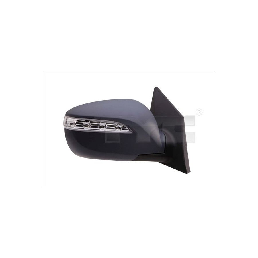 Tyc Rétroviseur Extérieur 313-0055 3130055 Hyundai