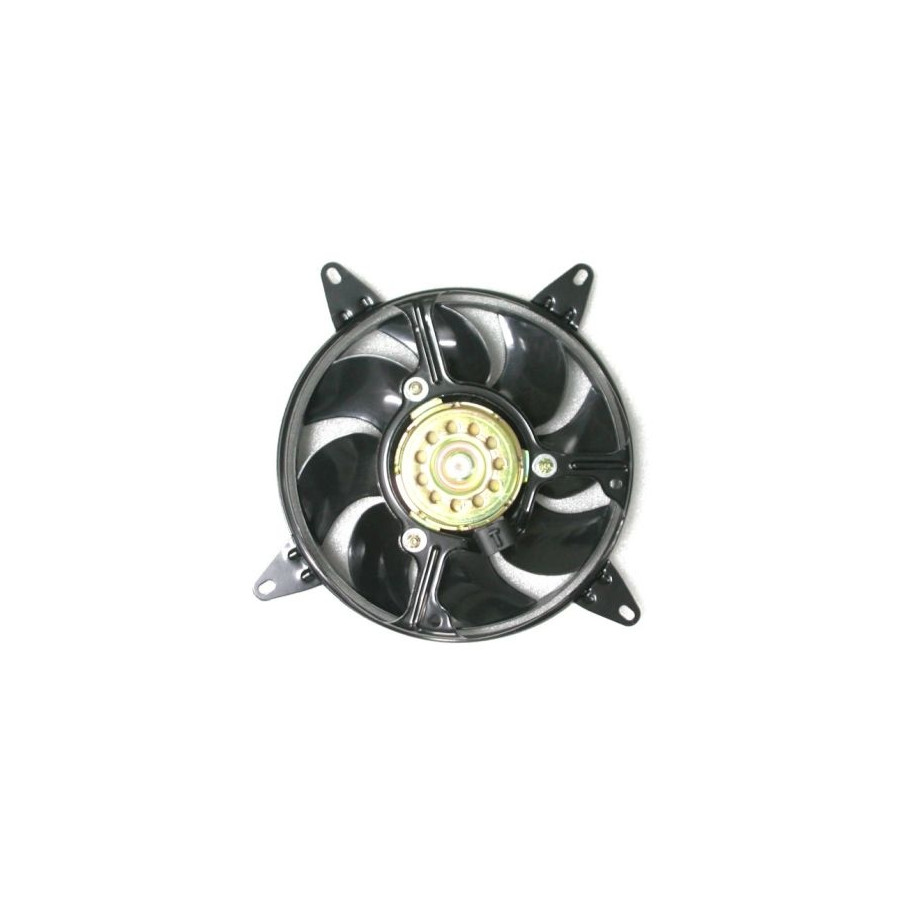NRF Ventilateur de refroidissement du moteur  B.V. 47543
