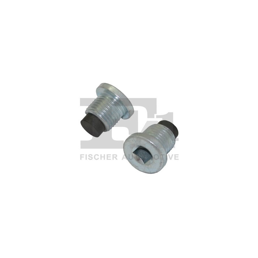 Fa1 Vis-Bouchon, Carter D'huile 539.970.001 - Image 3