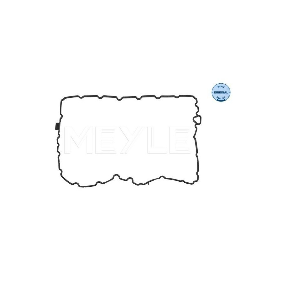 Meyle Joint, Carter D'huile Pour Transmission Automatique 1001390007 Audi
