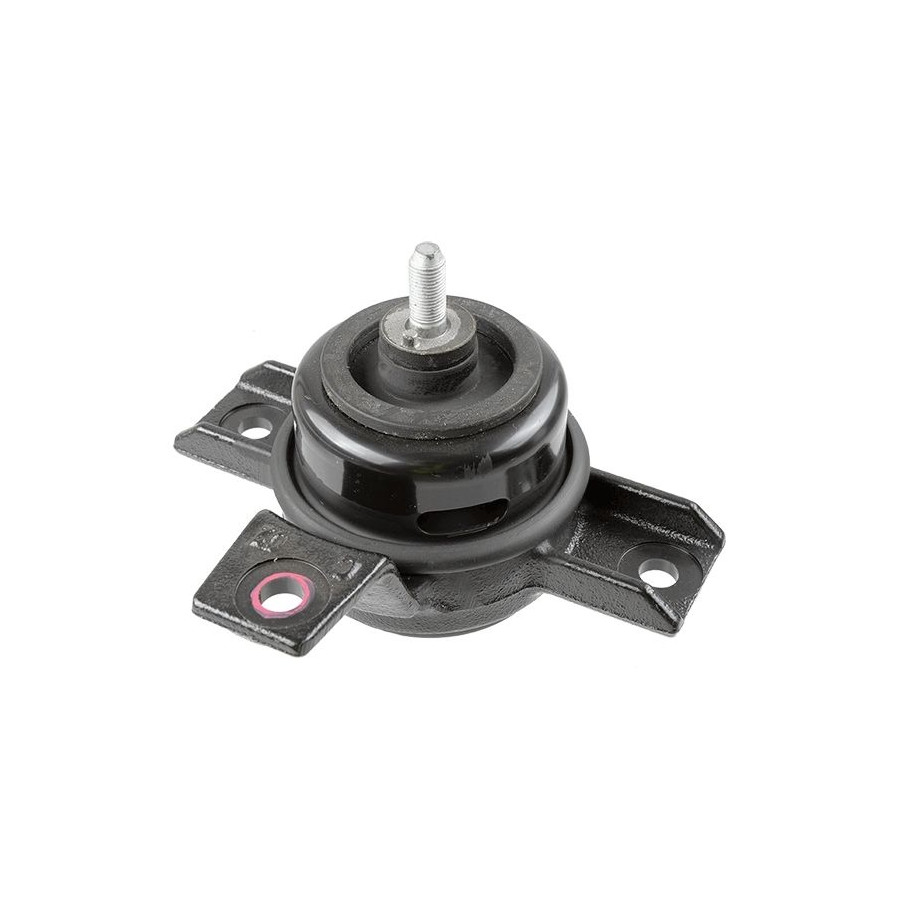 Lemförder Support Moteur 43012 - Image 4