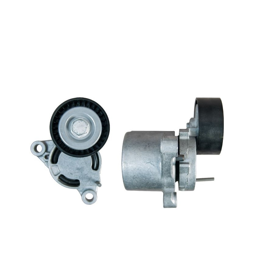 GATES Galet tendeur de courroie d'accessoire  T39403