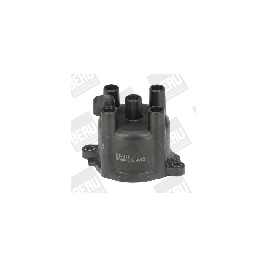 BERU T&ecirc;te d'allumeur 