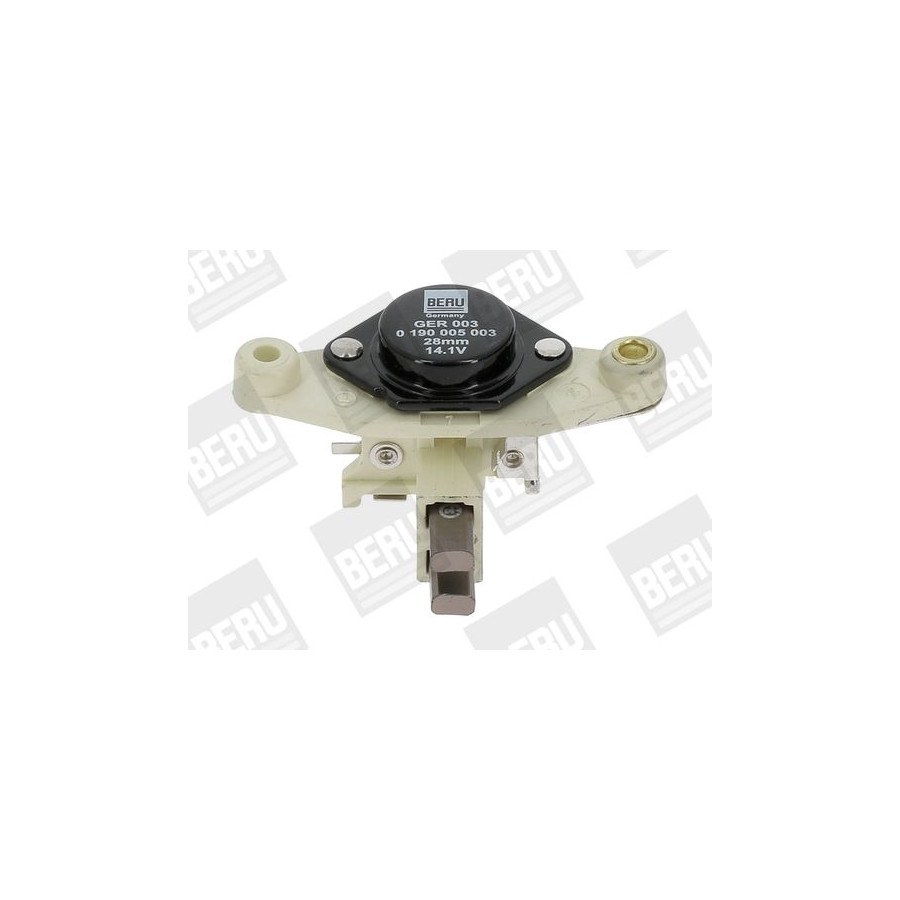 BERU Regulateur d'alternateur BorgWarner () GER003 (X1)