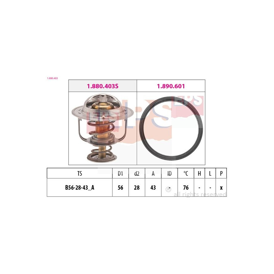 Thermostat d'eau Made in Italy - OE Equivalent