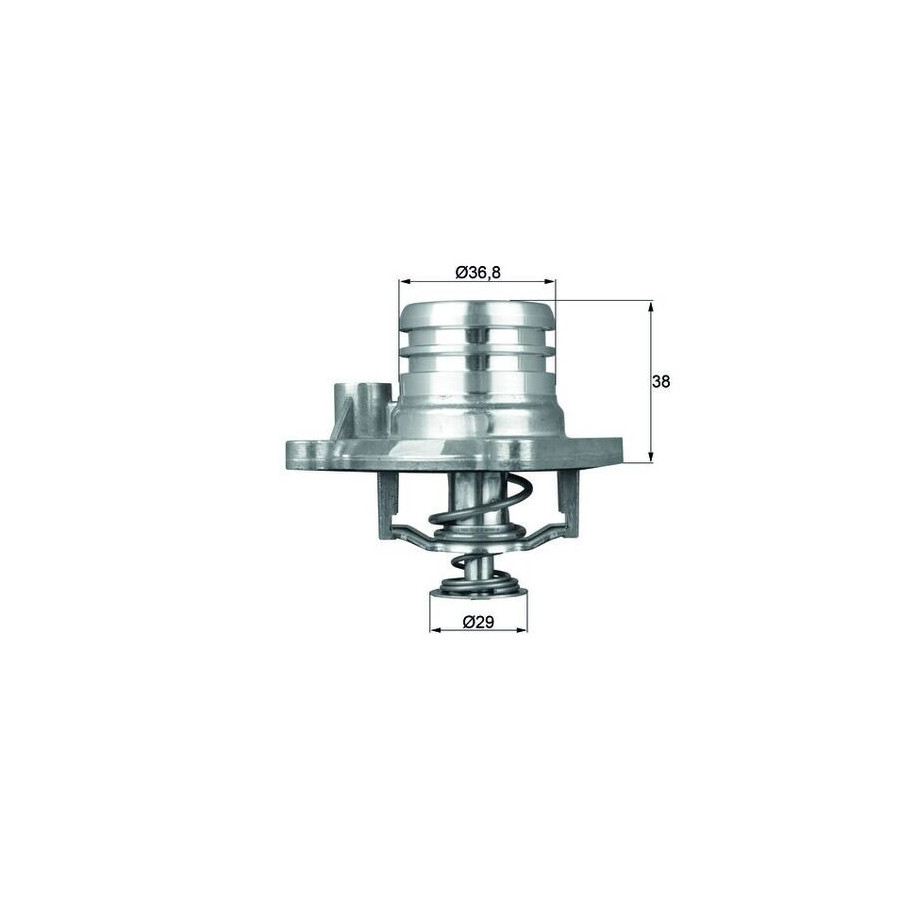 Thermostat d'eau