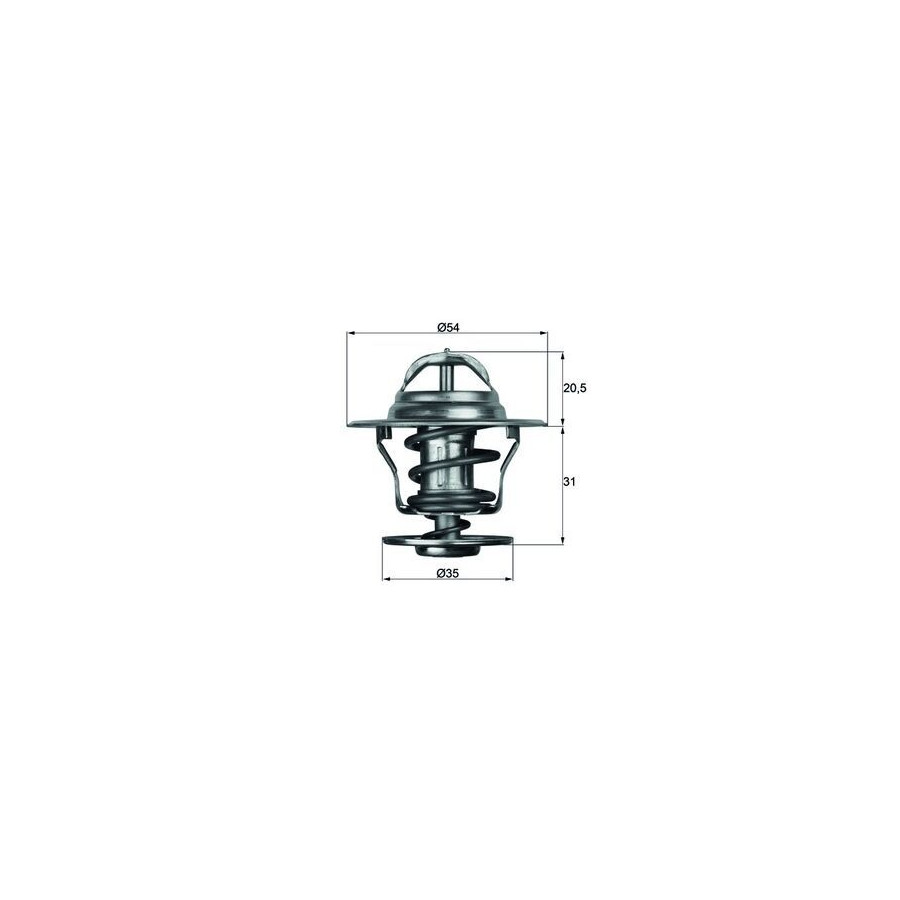 Thermostat d'eau