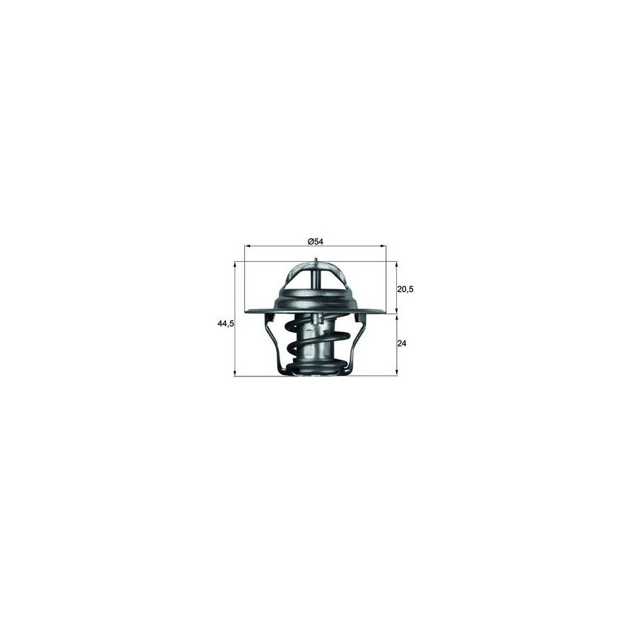 Thermostat d'eau