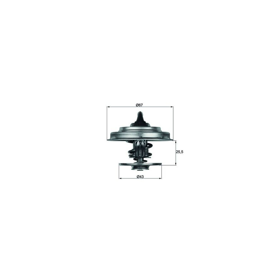 Thermostat d'eau