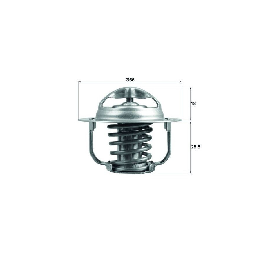 Thermostat d'eau