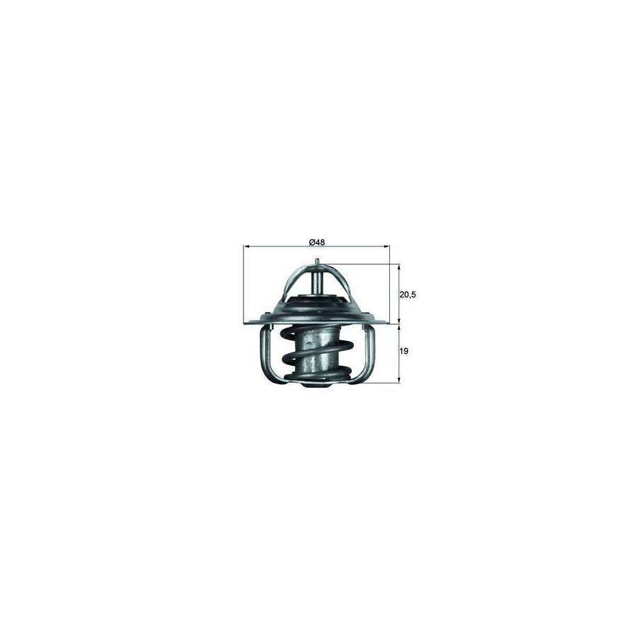Thermostat d'eau