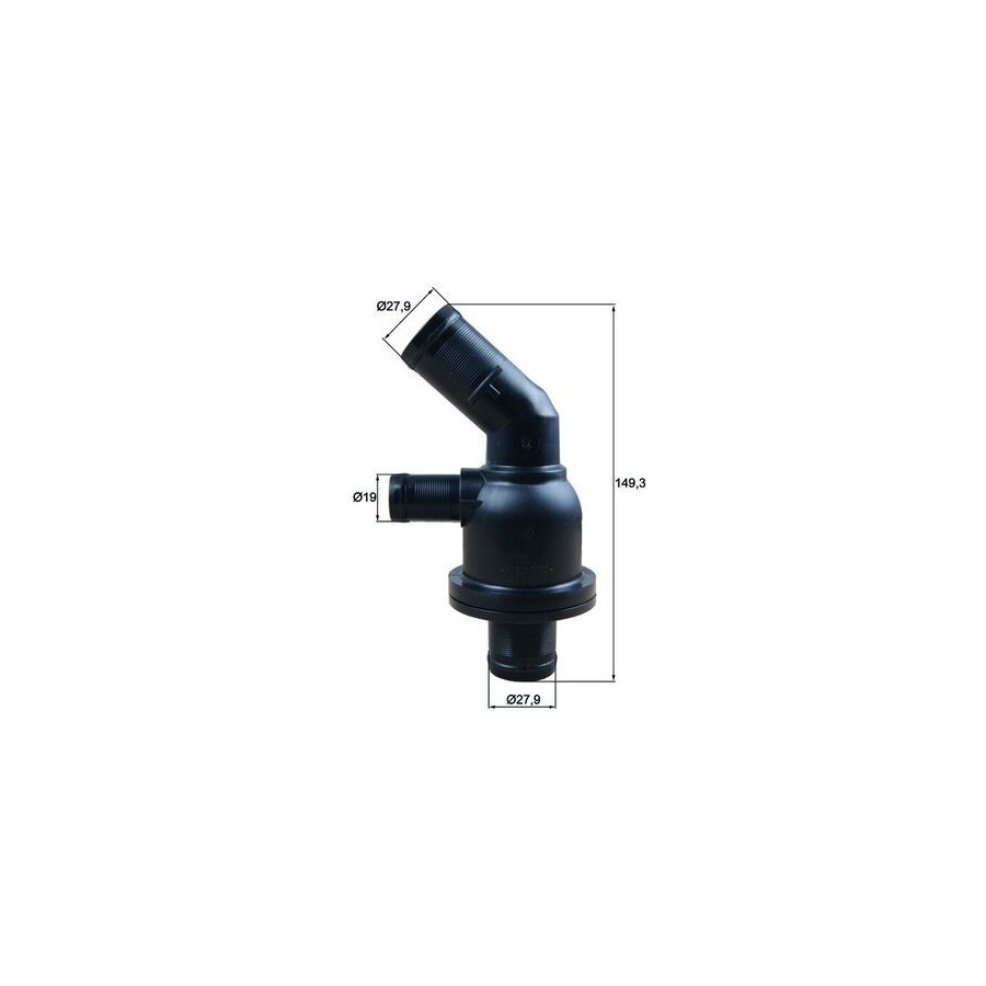 Thermostat d'eau