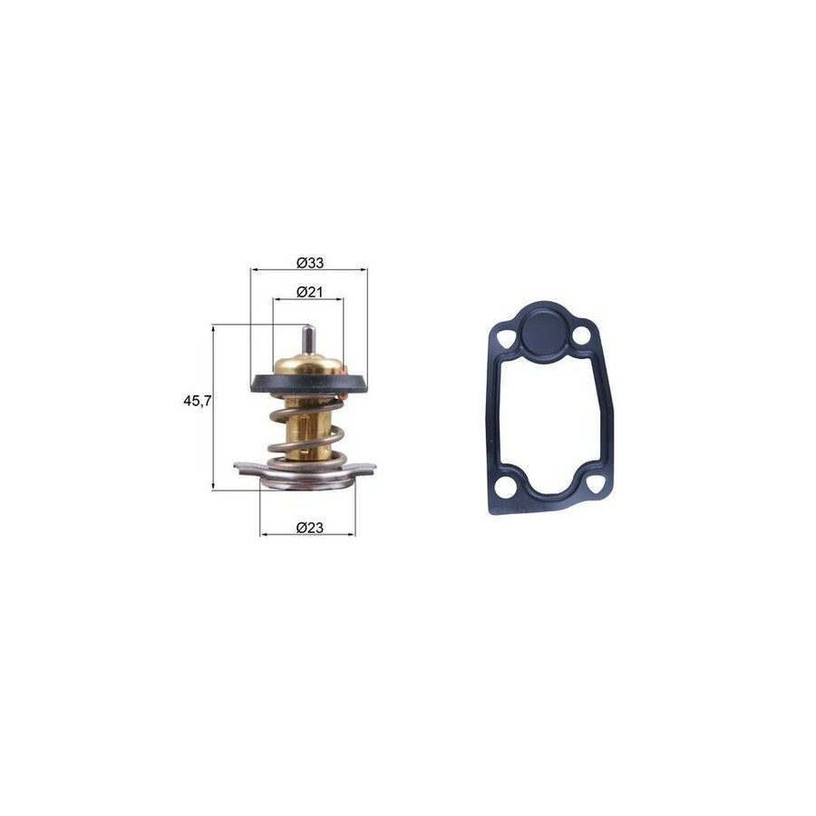 Thermostat d'eau