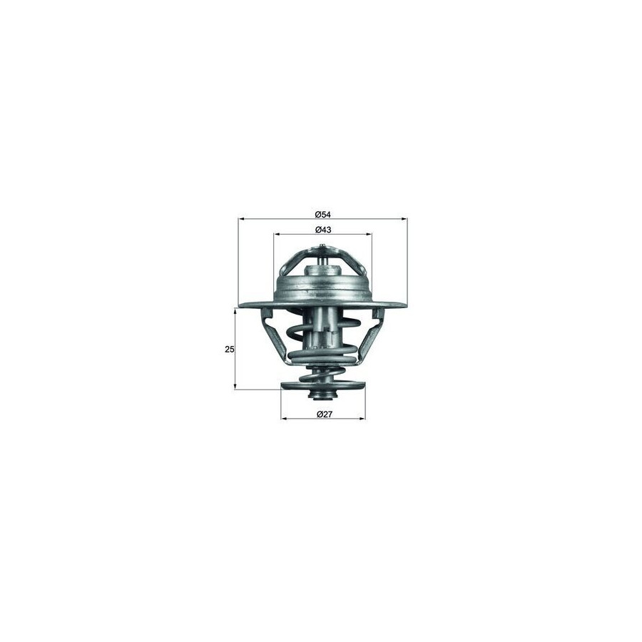 Thermostat d'eau
