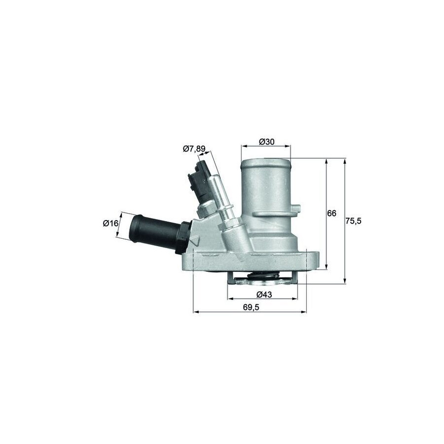Thermostat d'eau